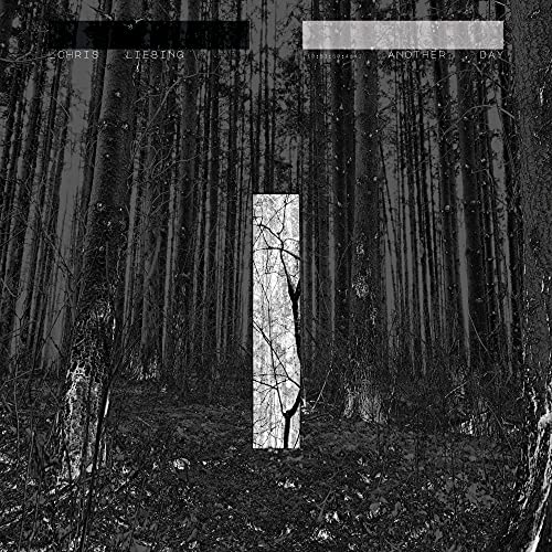 CD cover: dark forest scene with a bright, central tree shape.