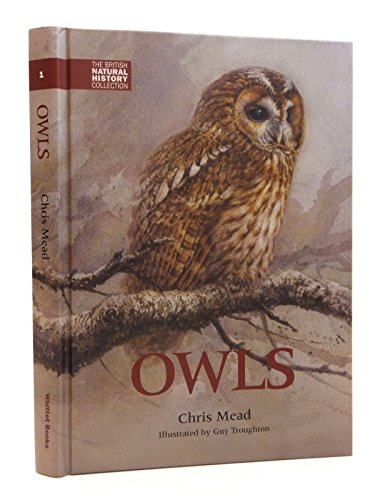 Book cover featuring an illustrated tawny owl perched on a branch.