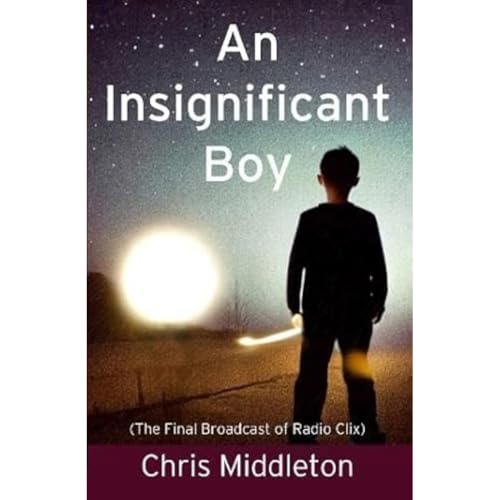 Book cover: boy silhouetted against a bright, starry landscape.
