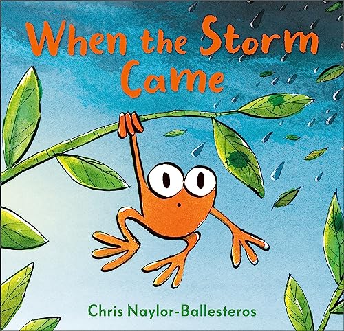 Book cover: orange frog clinging to a branch in the rain.