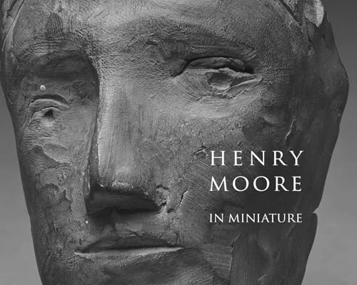 Close-up of a textured, abstract stone face with book title overlay.