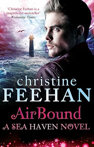 Book cover: "Air Bound" by Christine Feehan, featuring a man’s face and stormy sea.