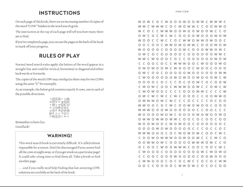Instruction page for a word search book featuring a grid of letters.