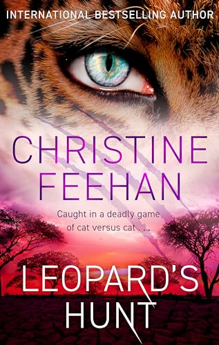 Book cover: leopard’s eye, pink and orange sunset, cracked earth.