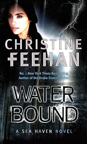 Book cover: woman’s face with stormy seascape and large white title.