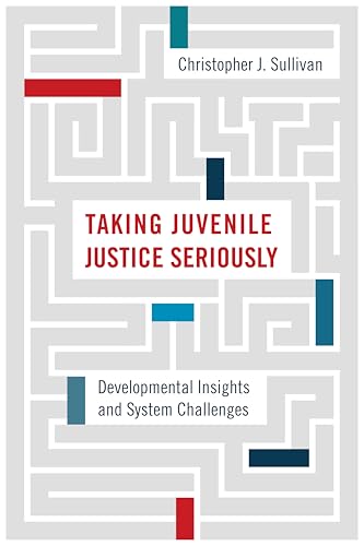Book cover: gray maze design with red and blue accents, title in red.