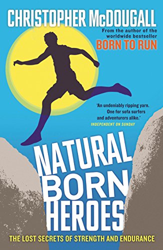 Book cover: Silhouette of a runner against a yellow sun and mountains.