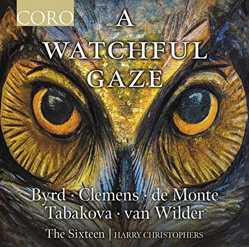 CD cover featuring a close-up, detailed painting of an owl’s face.
