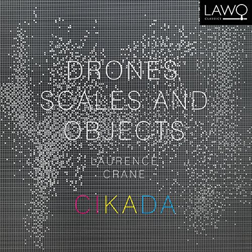 "Album cover with grey pixelated background, white text, and multicolored 'Cikada' at the bottom."