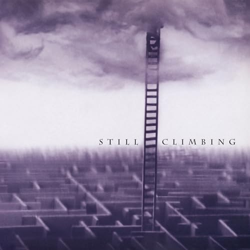 A tall ladder rises from a labyrinth into a cloudy, purple-toned sky.