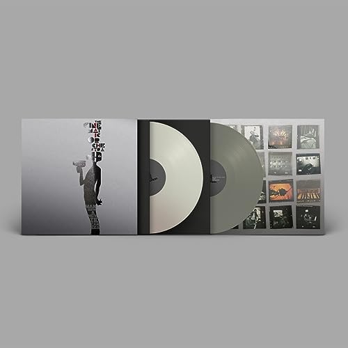 Cinematic Orchestra - Man With A Movie Camera (20th [VINYL]
