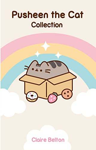 Pusheen the cat in a cardboard box vehicle with a rainbow background.
