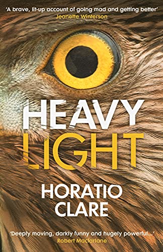 Book cover: close-up of an owl’s eye with bold yellow title “Heavy Light”.