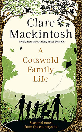 Book cover: silhouettes of a family with a kite under a tree.