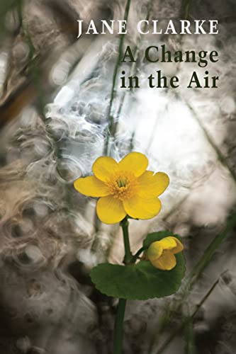 Book cover with yellow flower against a blurred, smoky background.