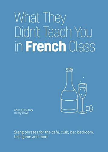 Book cover titled What They Didn't Teach You in French Class with champagne illustration.