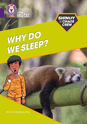 Book cover: boy yawning, red panda sleeping on a branch.