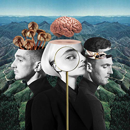 Three faces with brains and mushrooms emerging, mountainous backdrop.