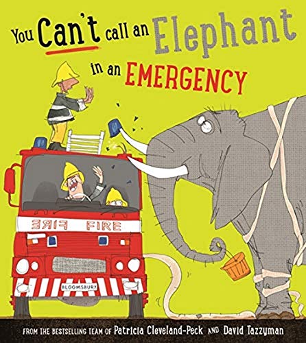 A firefighter and a fire truck with an elephant holding a bucket on green.