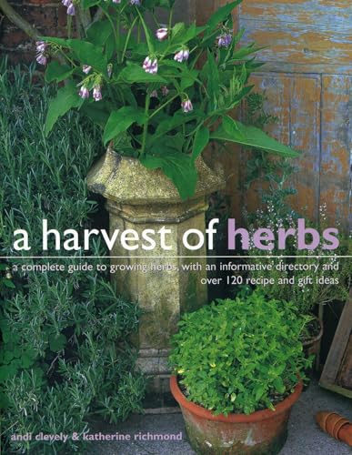 Book cover featuring potted herbs and flowers against a rustic wooden background.