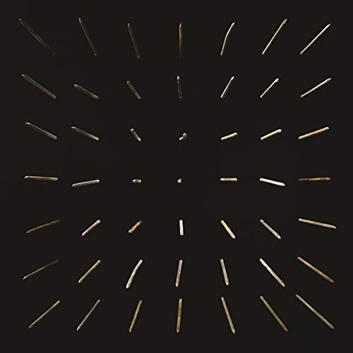 Black background with radiating, fragmented bone-like shapes centered on a dot.