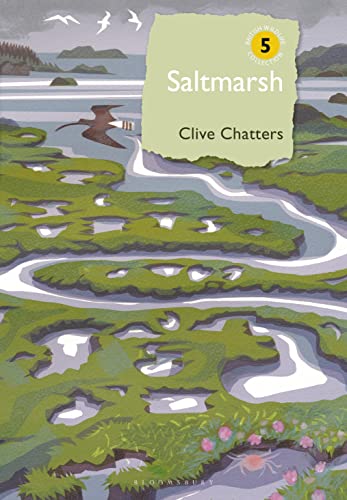 Book cover: illustrated marsh landscape with birds and text "Saltmarsh".