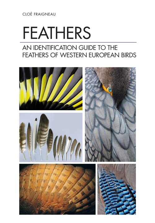 Book cover featuring close-up images of diverse bird feathers.