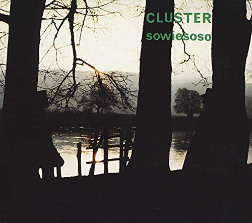 Silhouetted trees and figures by a river at sunset with text Cluster sowiesoso.