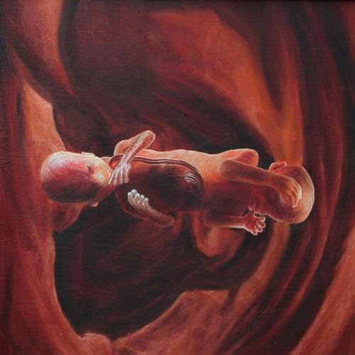 Two fetuses depicted in a dark red, womb-like environment.