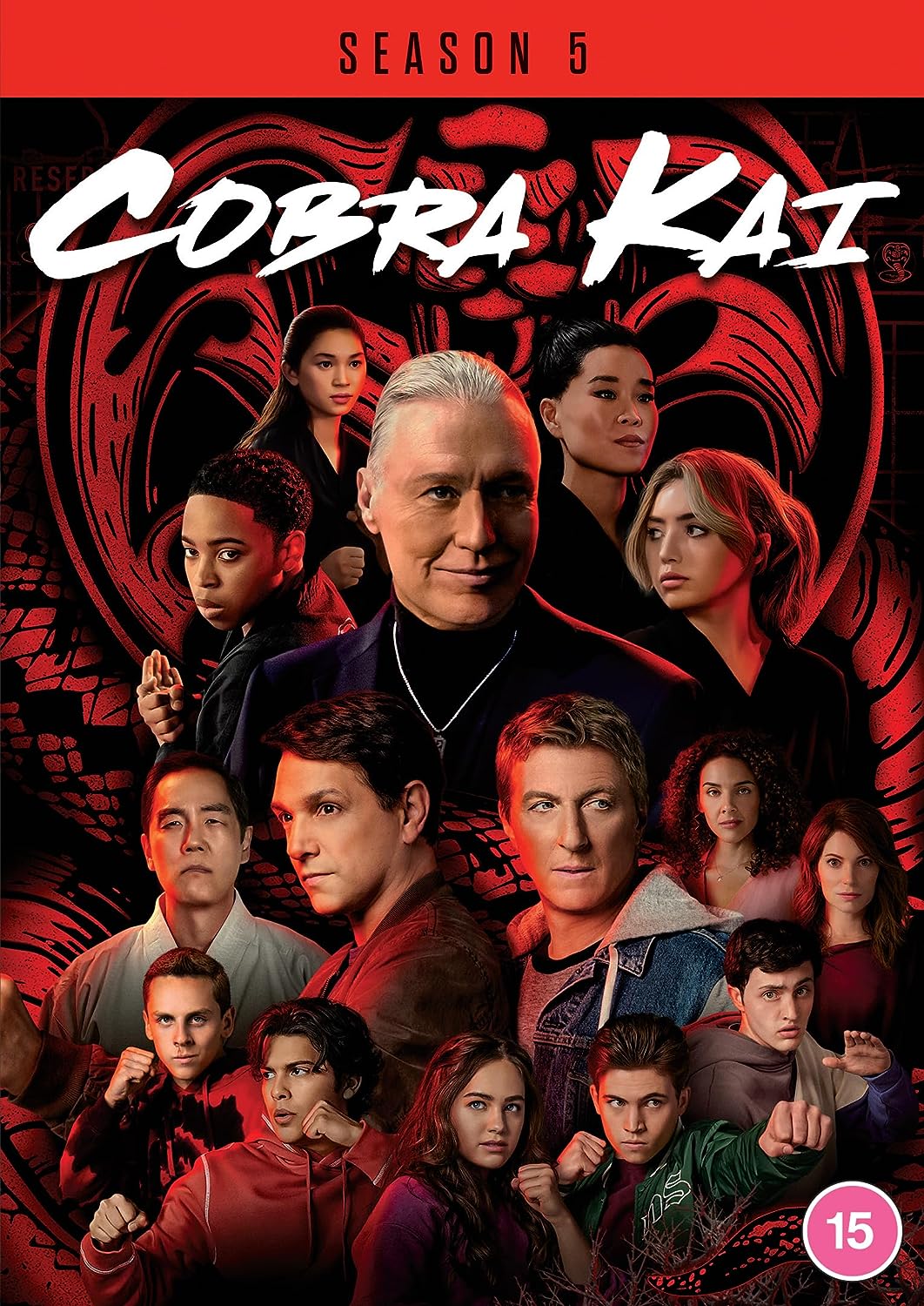 Cobra Kai Season 5 DVD cover featuring the show’s cast and logo.