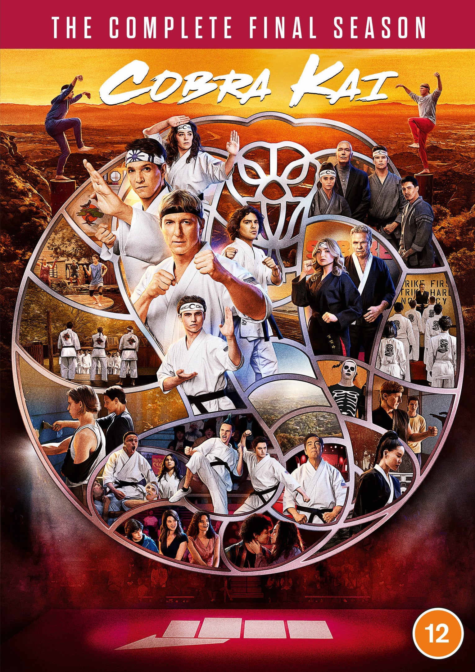 Cobra Kai Season 6 DVD cover featuring a collage of characters in action.