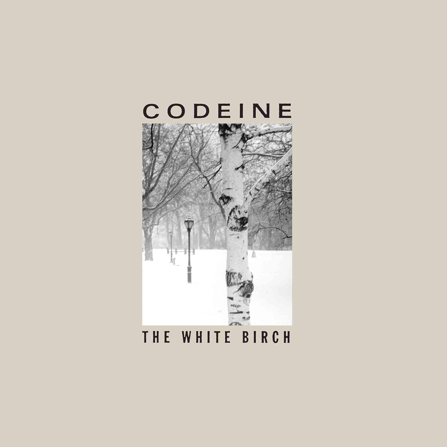 Album cover for Codeine’s “The White Birch” featuring a snowy birch tree.