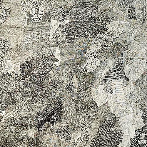 Black and white abstract album cover with textured, patterned design.