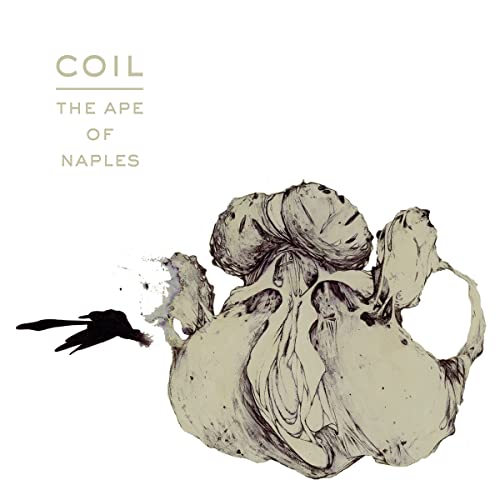 Album cover for Coil’s “The Ape of Naples” featuring sketched organic forms.