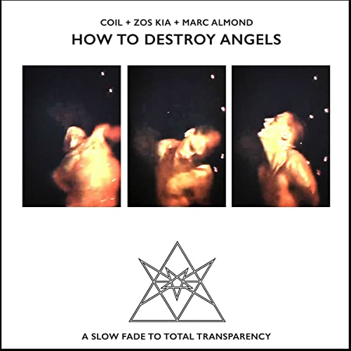 CD cover for Coil’s “How To Destroy Angels” with blurred figures.