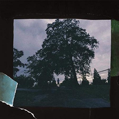 A person stands in a park under a large tree against a cloudy sky.
