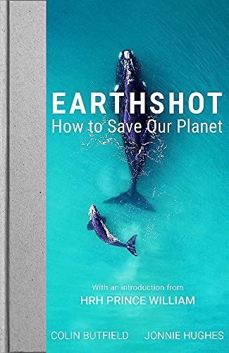 Book cover showing a whale and calf swimming in bright turquoise ocean water.