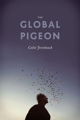 Book cover: silhouette of man looking up at flock of pigeons.