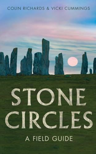 Stone circle monument on grassy hill with sunset or sunrise behind, book cover.