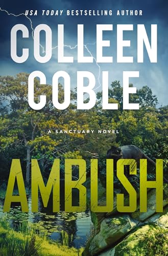Book cover with stormy sky, trees, and a shadowed figure.