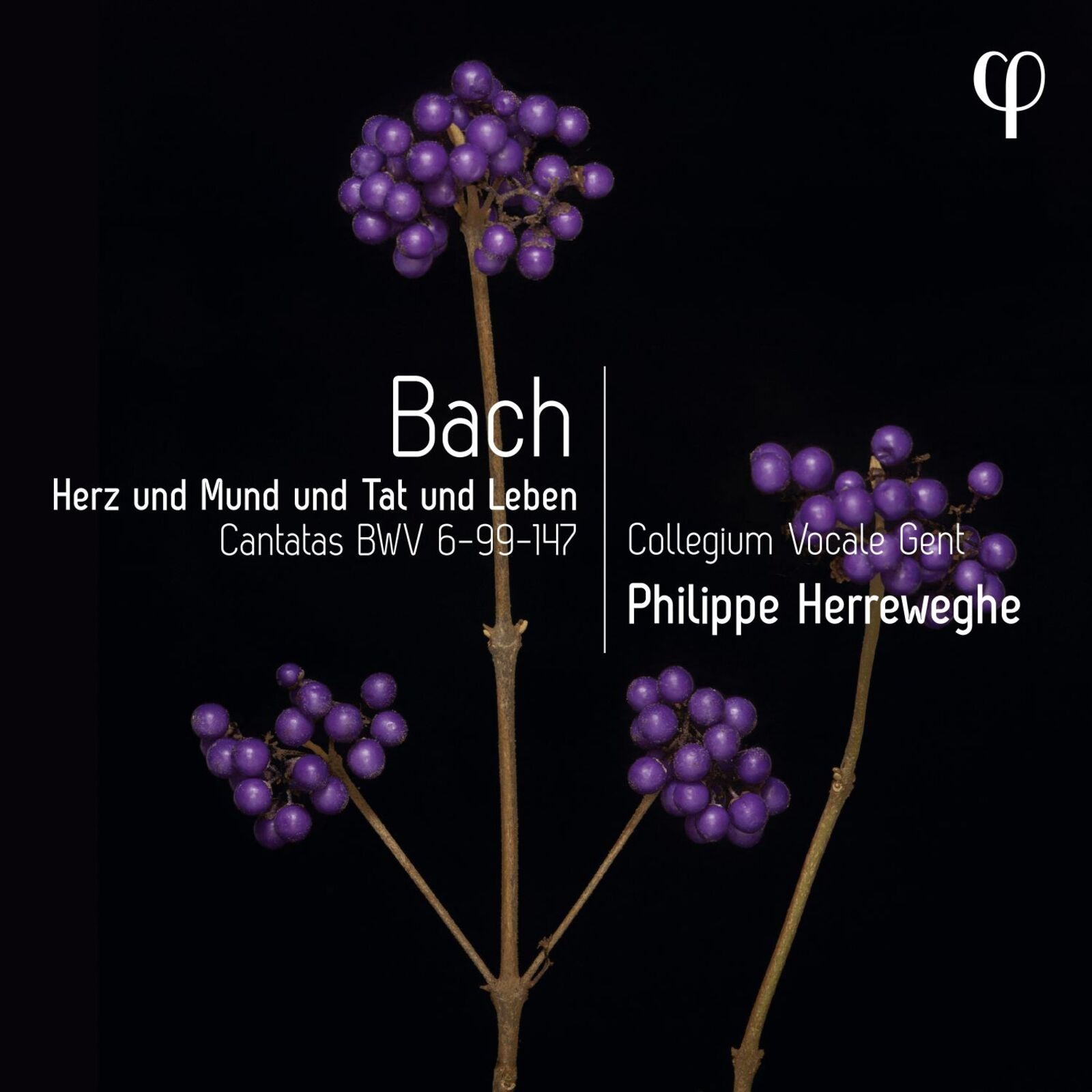 CD cover: dark background with purple berries and text "Bach" and artist names.