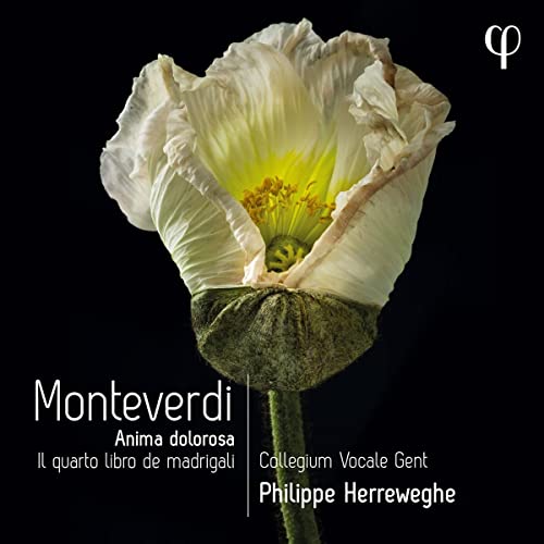 CD cover: white poppy with text “Monteverdi” and composer/ensemble names.