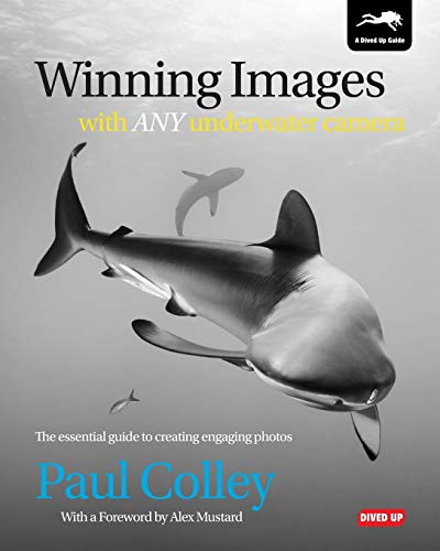 Book cover featuring a shark swimming in blue, murky water.