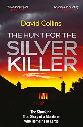 Book cover with silver title text over a dark, fiery sunset and house.