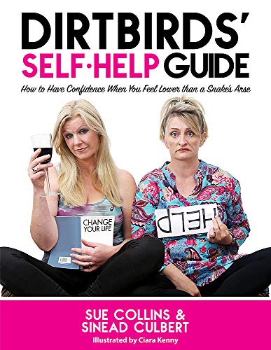 Book cover with two women looking glum, holding wine and a "HELP" sign.