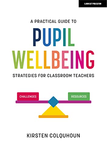 Book cover titled A Practical Guide to Pupil Wellbeing with a colorful seesaw illustration.