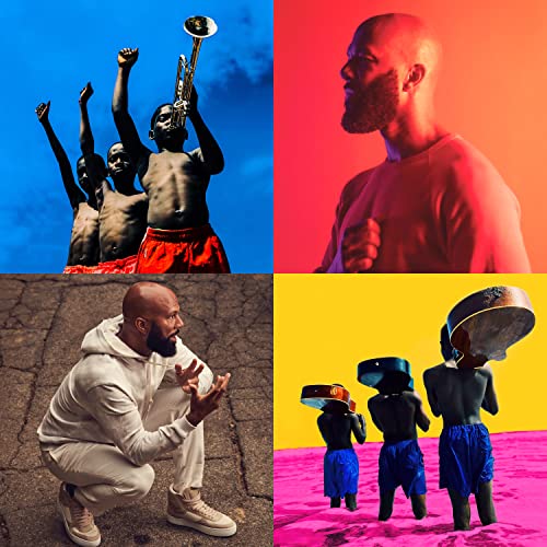 Album cover for Common’s “A Beautiful Revolution [VINYL]” with four colorful panels.