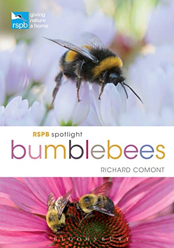 Book cover featuring a bumblebee on purple flowers, titled "RSPB Spotlight Bumblebees".