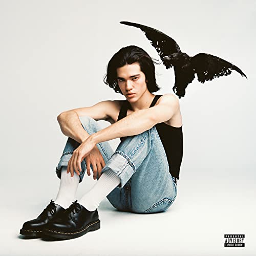 Conan Gray album cover: artist seated with a raven, white background.