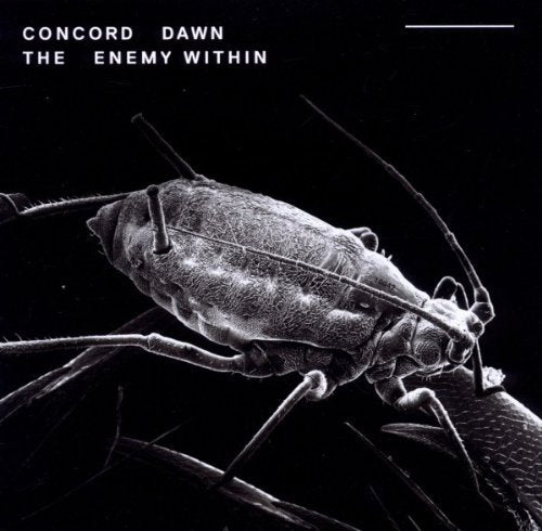 Black and white album cover featuring a close-up of an insect.